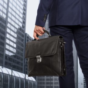 Venture Capitalist (Large)
