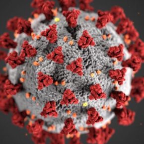 Covid_coronavirus